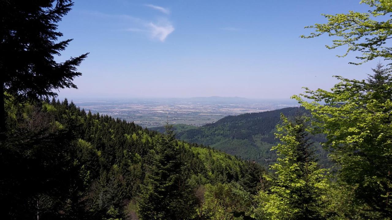 Relais & Chateaux Hotel Schwarzmatt Badenweiler Eksteriør bilde